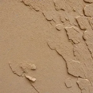 Jaki tynk na elewację? Wybór najlepszej opcji